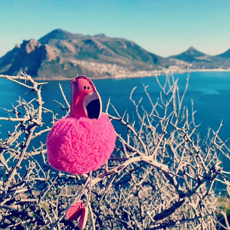 Discover Hout Bay tweet media