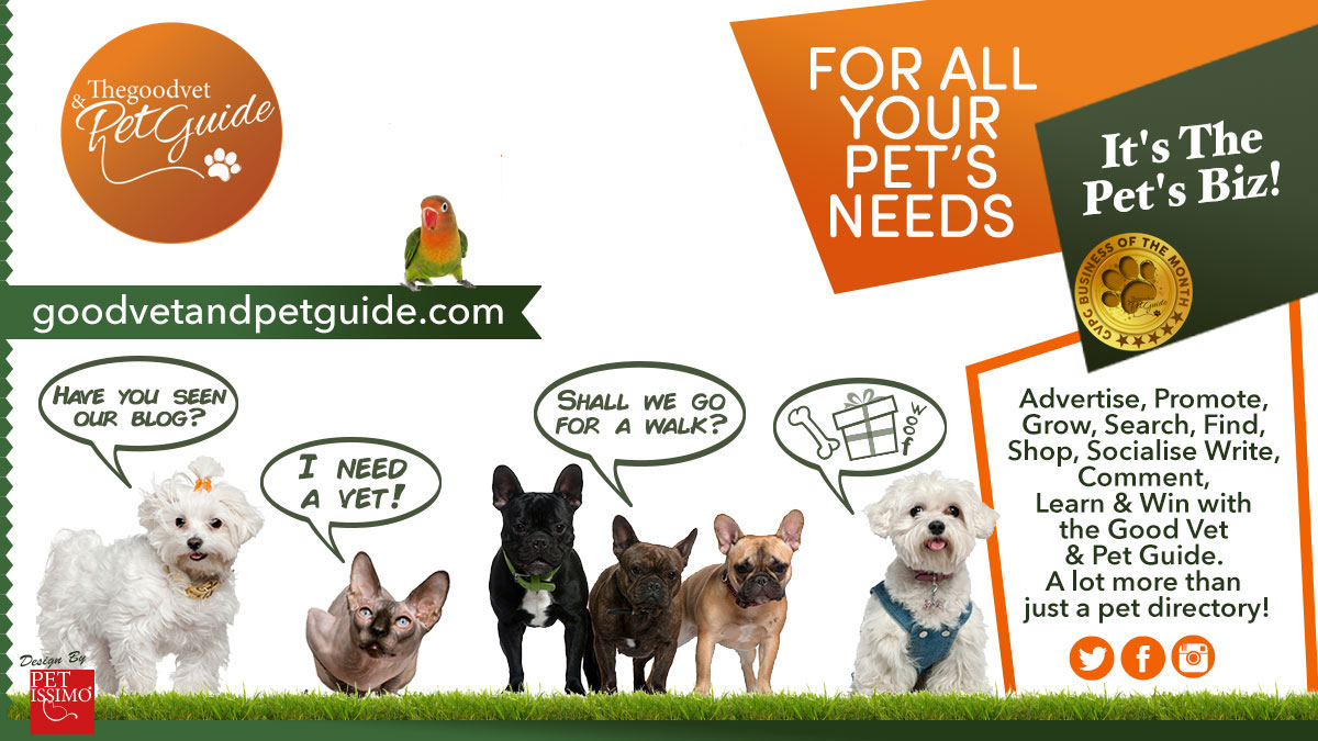 GoodVetPetGuide's tweet photo. 1000s of people visit our #petdirectory every week to find services or products
Get listed with us today!
2 options
Basic £0
Featured £50 - we design/manage your page / priority position / ICE cards / additional shop listing/ tweets & more
https://t.co/54yzzbKdwz https://t.co/cvJ4Ib14Ea
