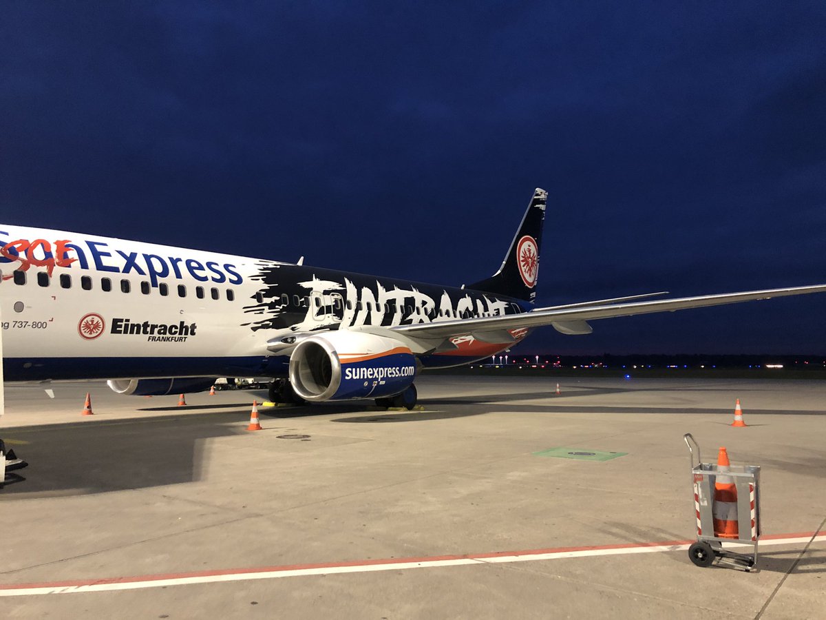 elzocko2's tweet photo. Schaut euch das Geile Stück an🤤
#SGE  #SGEExpress https://t.co/5DMiGh6cAR