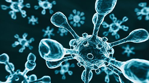 EBIBristol's tweet photo. .@EBIBristol announces 25 new @BristolUni research projects to tackle COVID-19, the first of many 🔬🧪

👉https://t.co/WKMxXOLgv7

#coronavirus #COVID19 #research #TestingForCovid19 #COVIDVACCINE #diabetes #AsymptomaticCarriers https://t.co/Zbe9HAqXhF