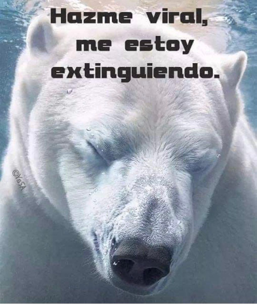 Ecogranjero's tweet photo. https://t.co/y9QZ6shw3b