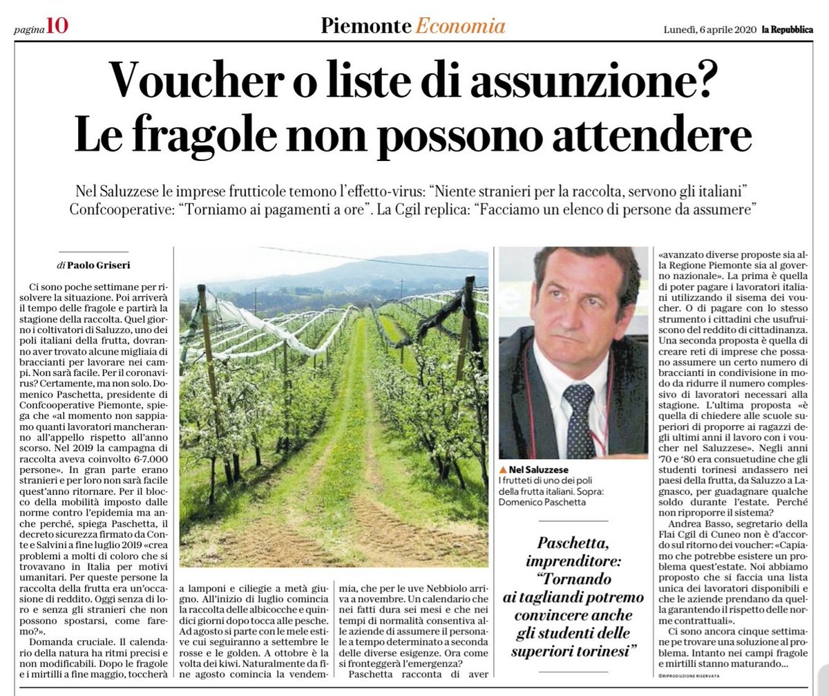 #LAVORATORISTAGIONALI: in Piemonte l'emergenza #Covid19 è già emergenza #fragole. La mia analisi sui prossimi mesi e le proposte di <a href="/Confcoopiemonte/">ConfcoopPiemonte</a>  <a href="/Confcooperativ1/">Confcooperative</a>  nella mia intervista sulle pagine economiche di <a href="/rep_torino/">Repubblica Torino</a>