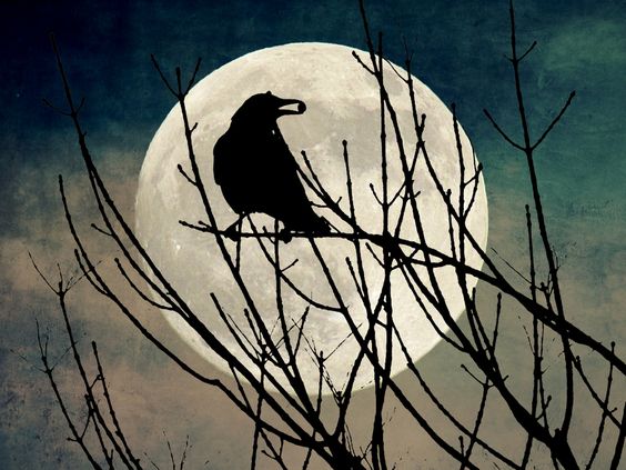carollovekin's tweet photo. Hibernation at Withering Heights ~ Day 19
🎶I saw the moon, the moon saw me;
She hovered above the word bird's tree.🎶
Also - I am rubbish at taking pictures of the moon.
#FullMoon #Inspiration #WritersLife #WordBirds https://t.co/nt39VTG774