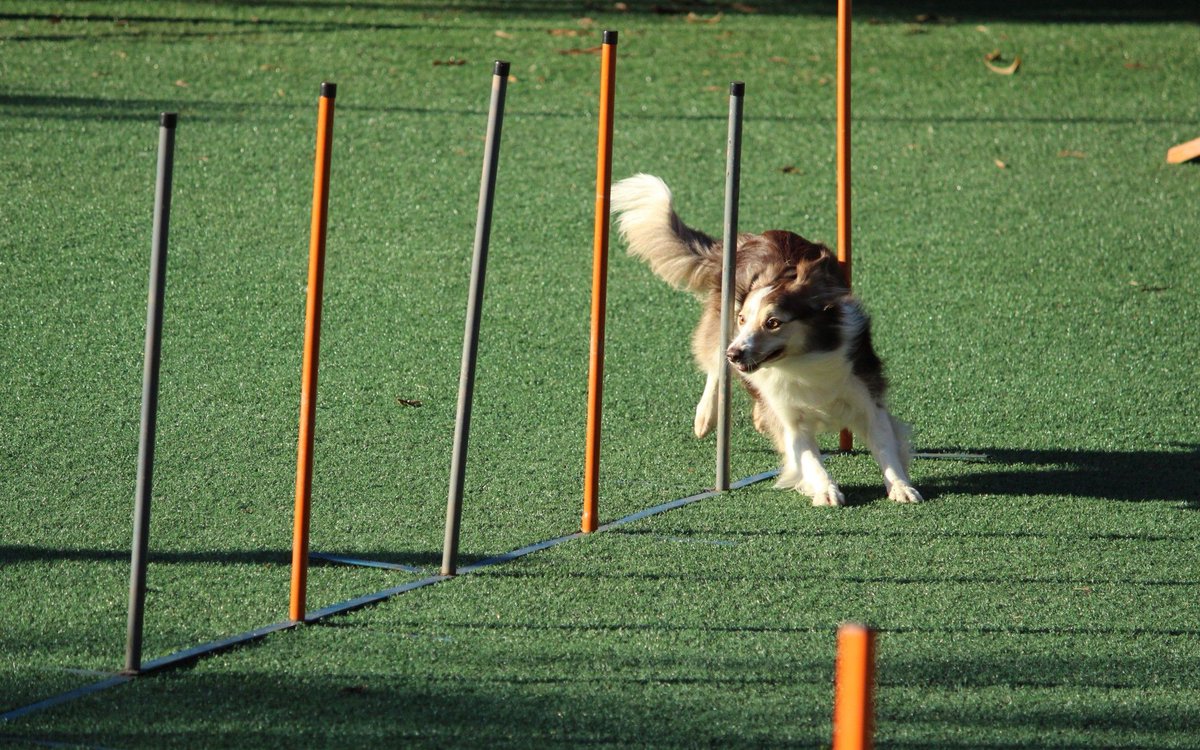 agilebradley's tweet image. How #Agile Makes #DigitalTransformation Possible via @DZoneInc buff.ly/2WOVYzA #AgileOrganisation