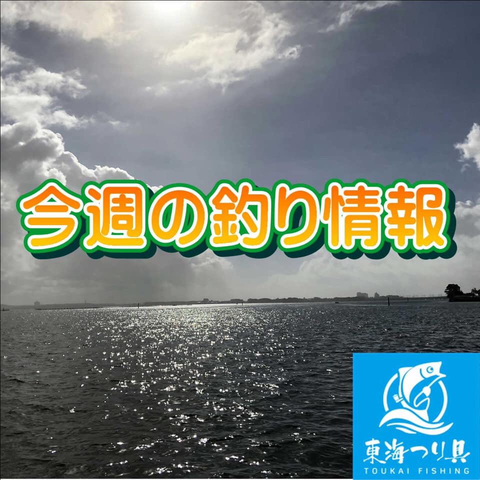 東海つり具 Auf Twitter 今週の釣り情報です 浜名湖全体でシーバス好調です 4月に入ってからチアユが好調です3桁の釣果もありました サーフではキスが釣れています 御前崎ではアオリイカが釣れています 浜名湖沖ではアマダイ アカムツが釣れています 東海