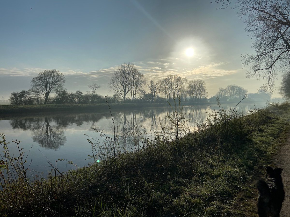 InaElzinga's tweet image. 