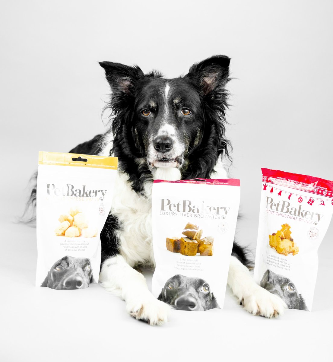 petbakeryuk's tweet photo. Some great pics to cheer you up this morning! 😀
Thank you to Sarah for sharing these with us ❤️- Sam the border collie and Inka the Finnish spitz, both 'huge fans' of Pet Bakery. 
#pettreats #homemadepettreats #luxurydogtreats #petbakeryuk #handmadepettreats #dogtreats https://t.co/86g5y6N1AD