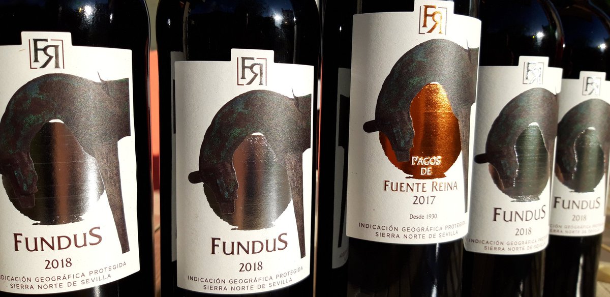 Hoy a las 12:30 me entrevista Fran León en mi canal de Instragram ( Óscar Zapke Rodríguez-Salís )