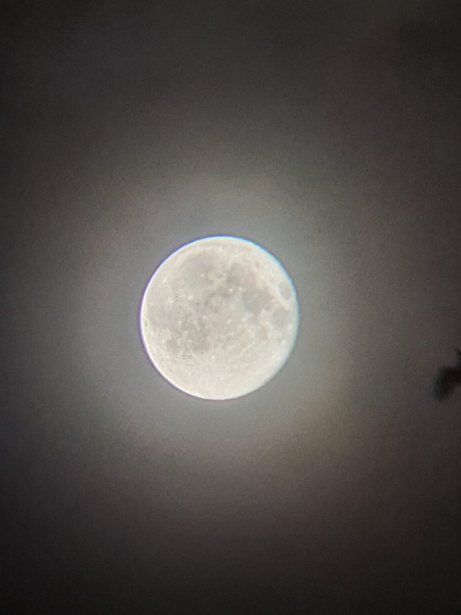 DannyElizalde23's tweet photo. Nada más placentero que contemplar la #LunaLlena acompañado de una buena taza de café 🌕☕👌 en ésta #Cuarentena

#lunarosa #COVID19Ecuador #ToqueDeQueda #GuayaquilSOS #EcuadorUnido #Luna #concluSENTENCIAEC #cafe #ElPeorGobiernoDeLaHistoria #LENINMORENOLAPUTAQUETEPARIO https://t.co/e8tKVfSMZE