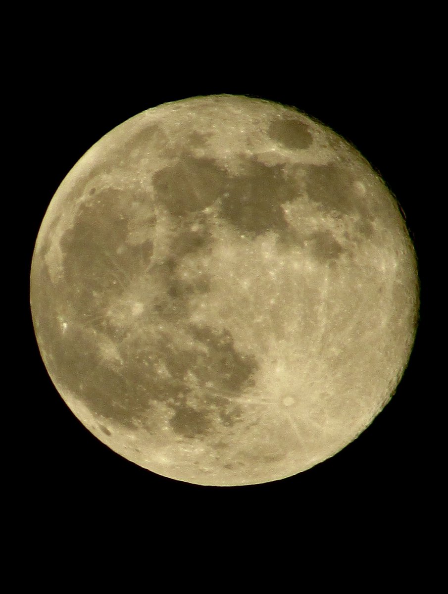 Much better shot last night!
#moon #nightsky #lunar #lincolnshire #lincolnshireskies #fullmoon