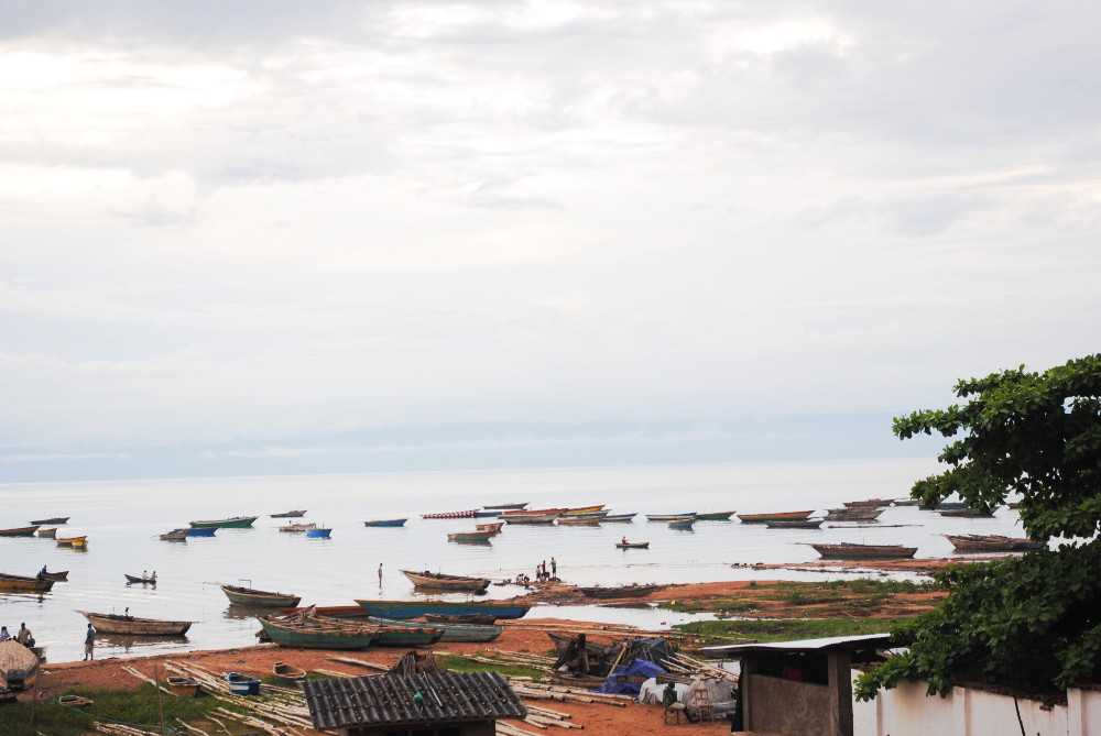   #Coronavirus: l'admicom de Nyanza-Lac craint "des entrées clandestines au  #Burundi par le  #Tanganyika sur les embarcations des pêcheurs, quand ils rejoindront le lac". Jean-Claude Nshimirimana en appelle à la conscience citoyenne des pêcheurs, "sinon on suspendra la pêche"