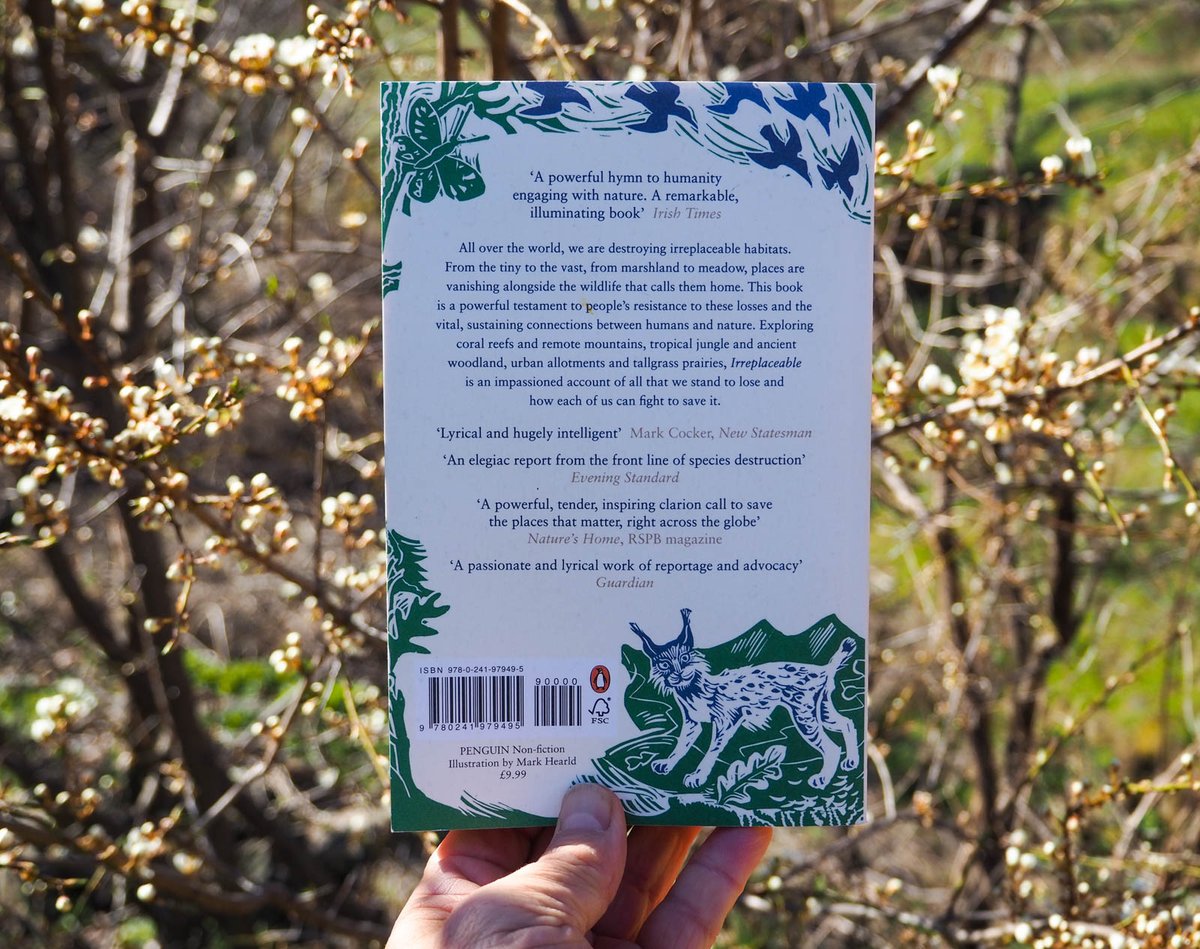 A Balkan lynx graces the back cover, one of the rarest wild cats in the world. Its story is one of many told in the book about our wider relationship with the natural world and what's at stake with its continued diminishing. 2/