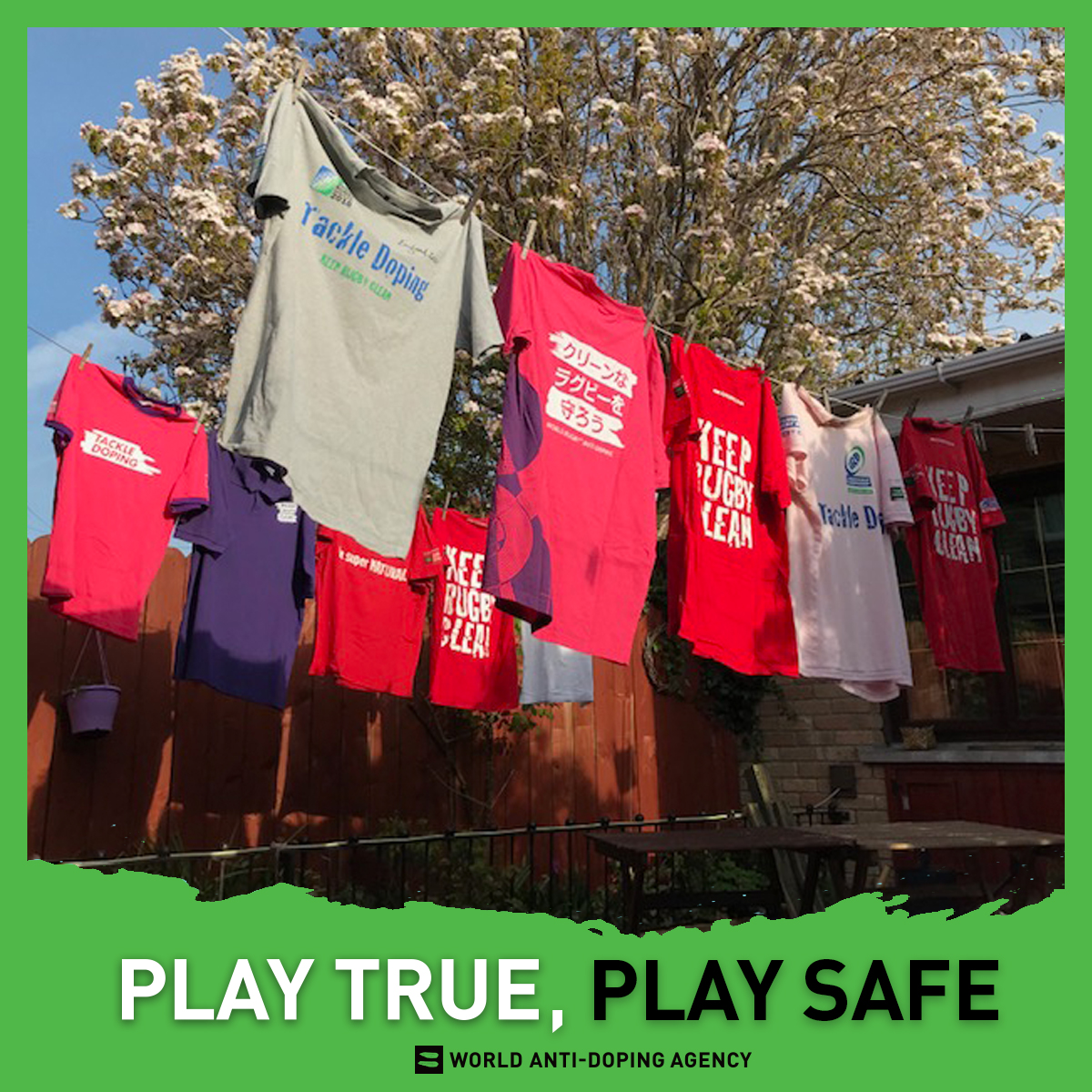 @wada_ama An impressive array of #KeepRugbyClean shirts from over the years #PlayTrueDay @wada_ama