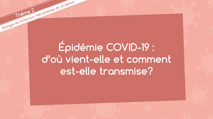 CNRS's tweet photo. #ConfinementIntelligent | Aujourd'hui le collectif de https://t.co/6KphRnfg6Z vous explique, dans ce nouvel épisode, l'origine de l'épidémie et la transmission de #COVID19.

➡️ https://t.co/bnfXQuOKI4 https://t.co/f6HrPQyWEW