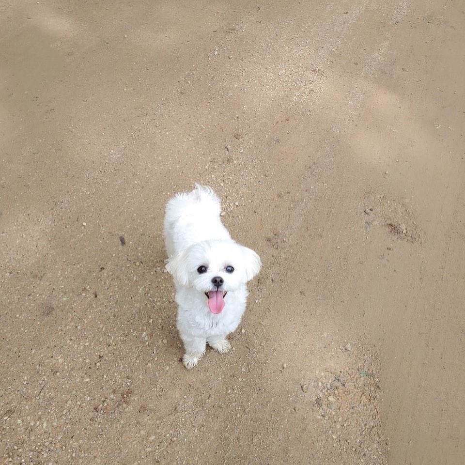 Henlo <a href="/hongseokq/">2014</a>! Wanna play woof me?