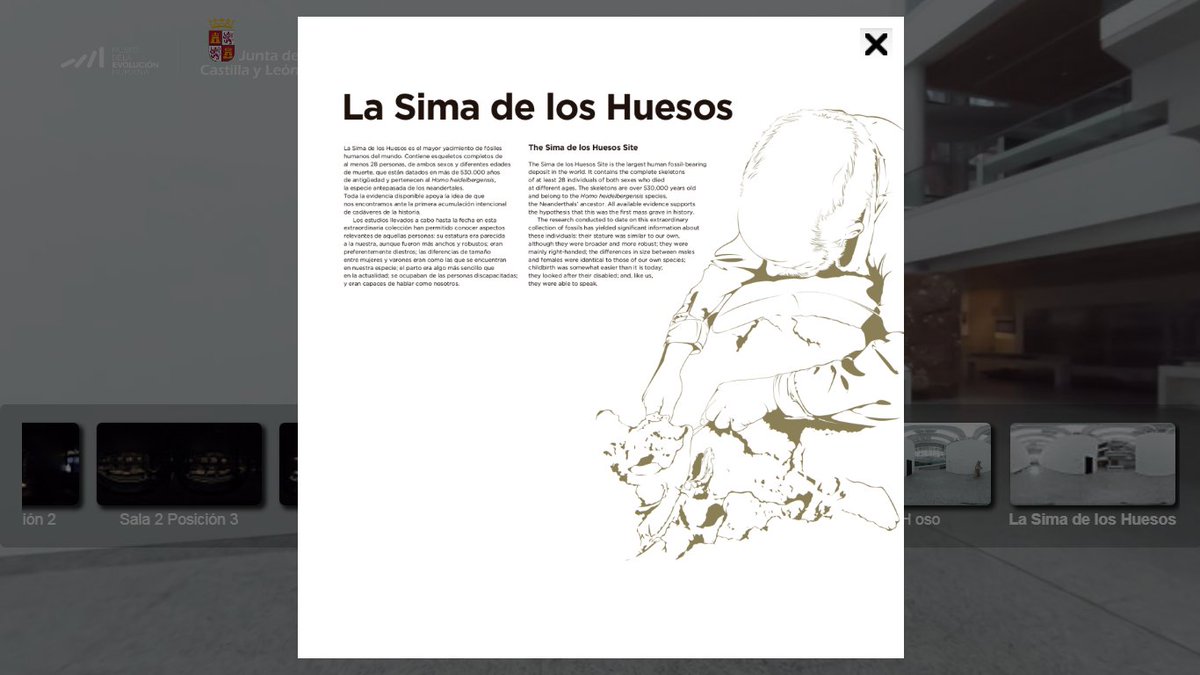 Buenos días amig@s. Seguimos explicando la Sima de los Huesos en nuestra visita virtual. Recordad que estamos mostrando nuestra planta dedicada a los fósiles de #Atapuerca con varios vídeos y audios. Lo podéis ver aquí: mehvirtualtour.es #ElMEHdesdecasa #Museosabiertos