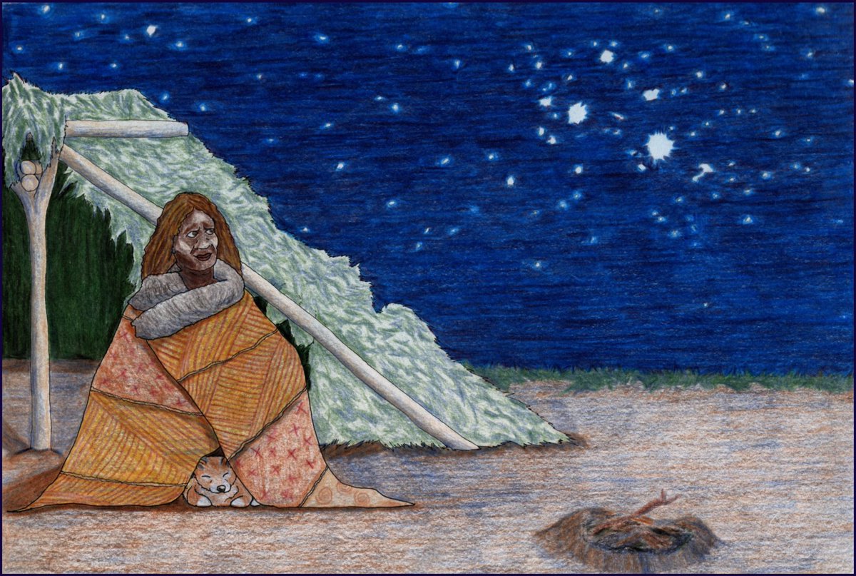 Some Australian Aboriginal people semi-domesticated dingoes, bonding with the puppies but ultimately releasing them back into the wild. Here a Wiradjuri woman cuddles with a dingo puppy under her possum-skin cloak while looking up at Mulayndynang (the Pleiades).