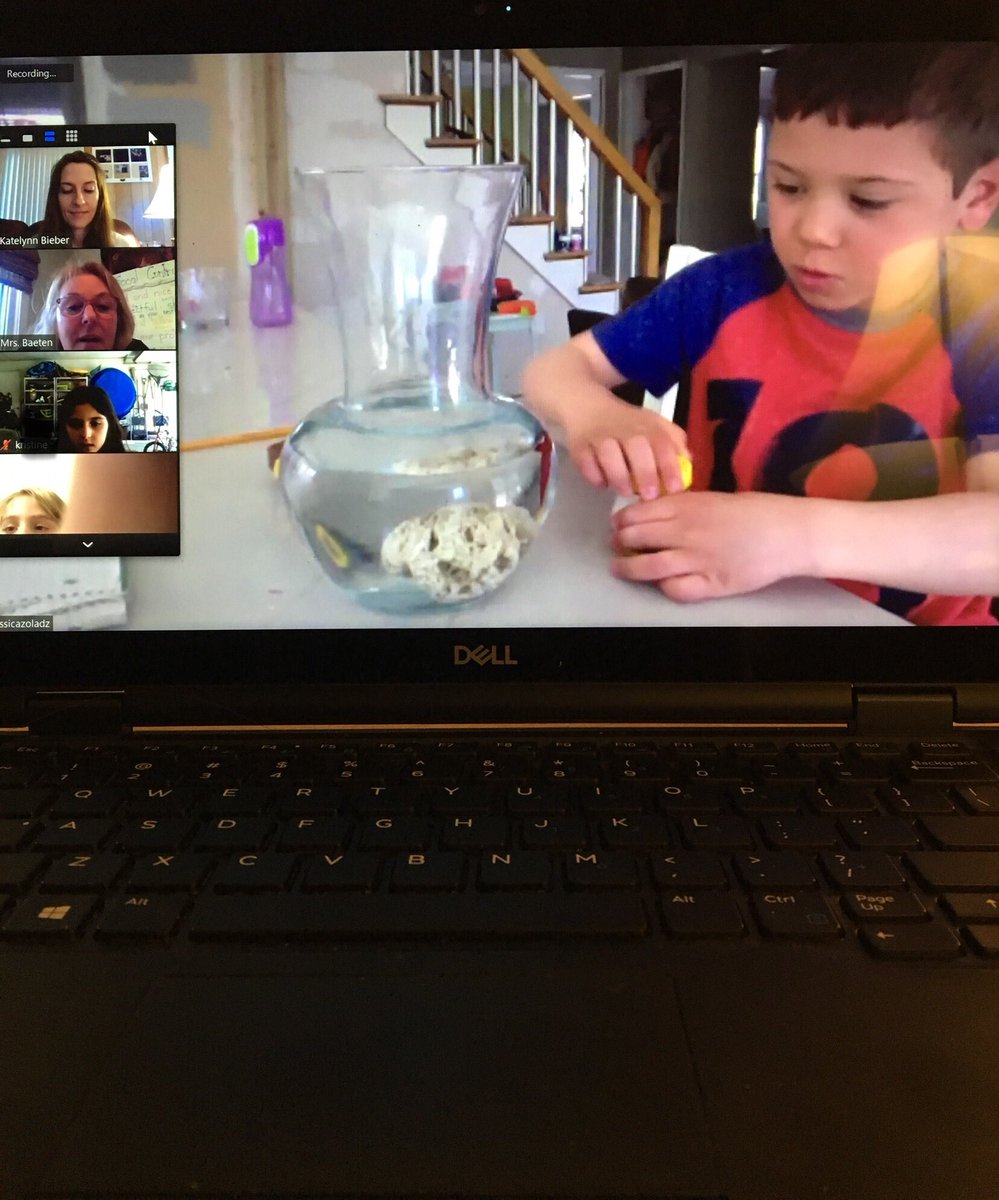 1st grade show and tell! #dohertyfamily