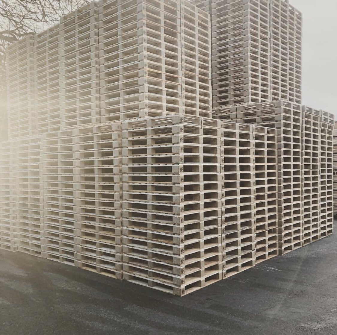 Heat Treated Pallets (HT_PALLETS) Twitter