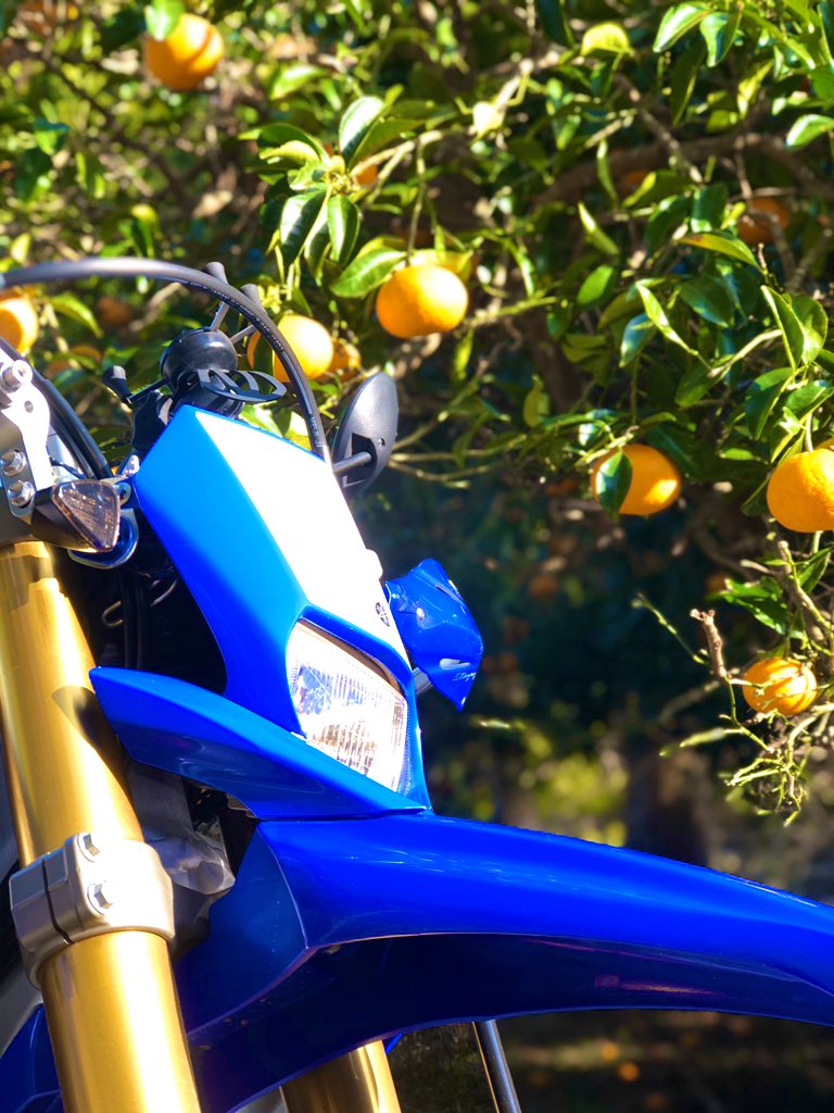 skpssmile's tweet photo. 伊豆っぽさ満点😊
甘くって美味しいんだよなぁー🍊🍊🍊
買えなかったけど😆
#YAMAHAが美しい
#WR250R
#バイク
#ツーリング
#オフ車
#bikelife
#motorcycle
#外出自粛中
#コロナウィルスが落ち着くまで
#僕はバイクお休みします
#avoidgoingout https://t.co/MYvtw6MlY4
