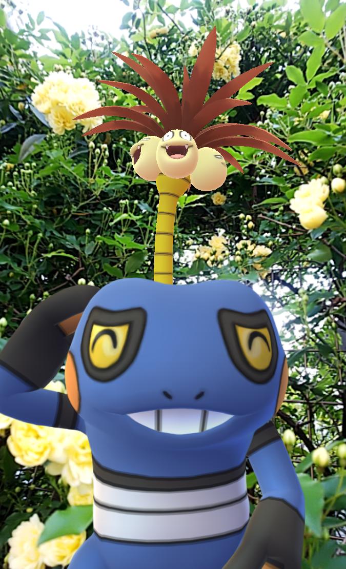 ポケモンgoスナップショット Twitter Search ポケモンgoスナップショット Twitter Search