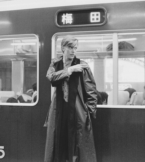 glowypanda's tweet photo. David Bowie demonstrating Staying At Home, Excercising Once A Day, Practising Safe Distancing on Essential Journeys &amp; Wearing PPE When Necessary https://t.co/pl4bVmXEdw