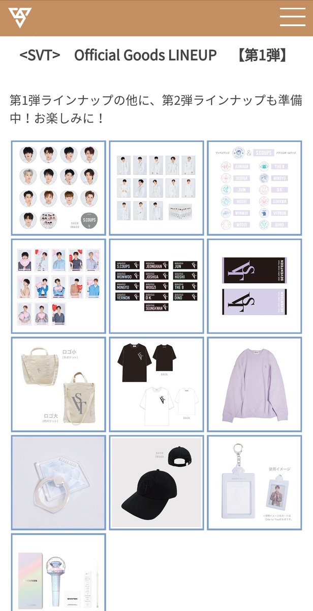 タイムセール!】 SEVENTEEN SVT ドーム 2020 グッズ 銀テープチャーム