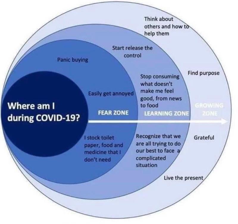WavinIreland's tweet photo. During these difficult times I think this infographic shows we can all grow in a very complicated situation. #wavinireland #purpose #grateful #staysafe #growingzone https://t.co/xydlqAKjCG