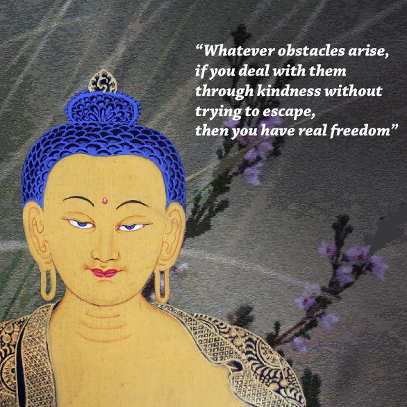 “Whatever obstacles arise,  if you deal with them through kindness without trying to escape, then you have real freedom”
~ Buddha ~

#Buddhism #mindtraining #freedom #mindfulness #Dharma