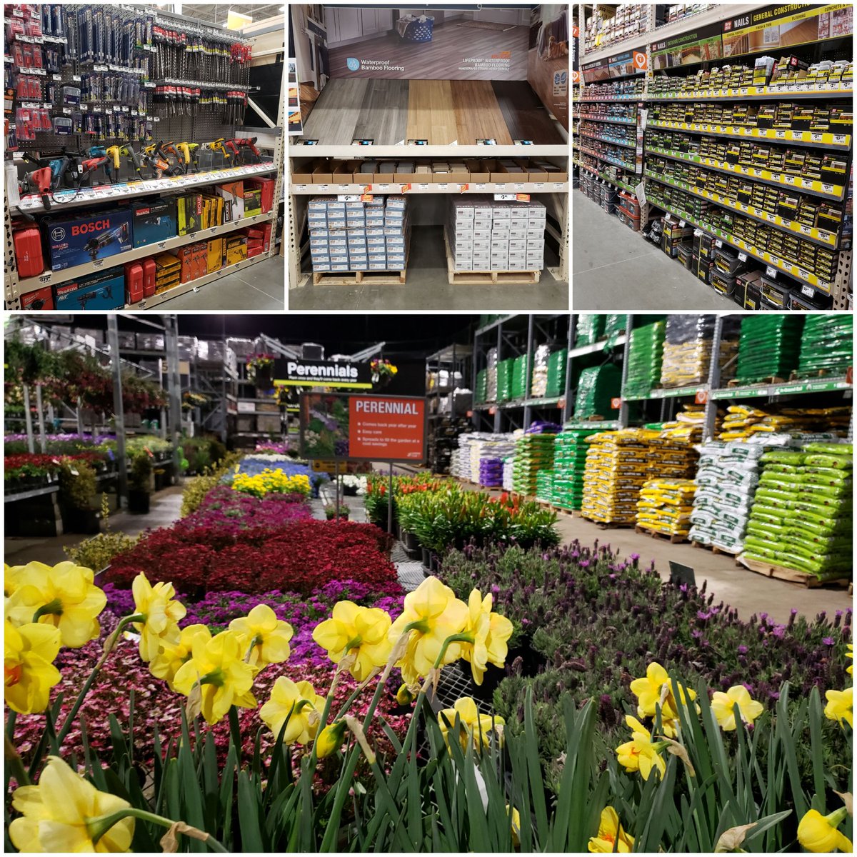 THDGabeC tweet media