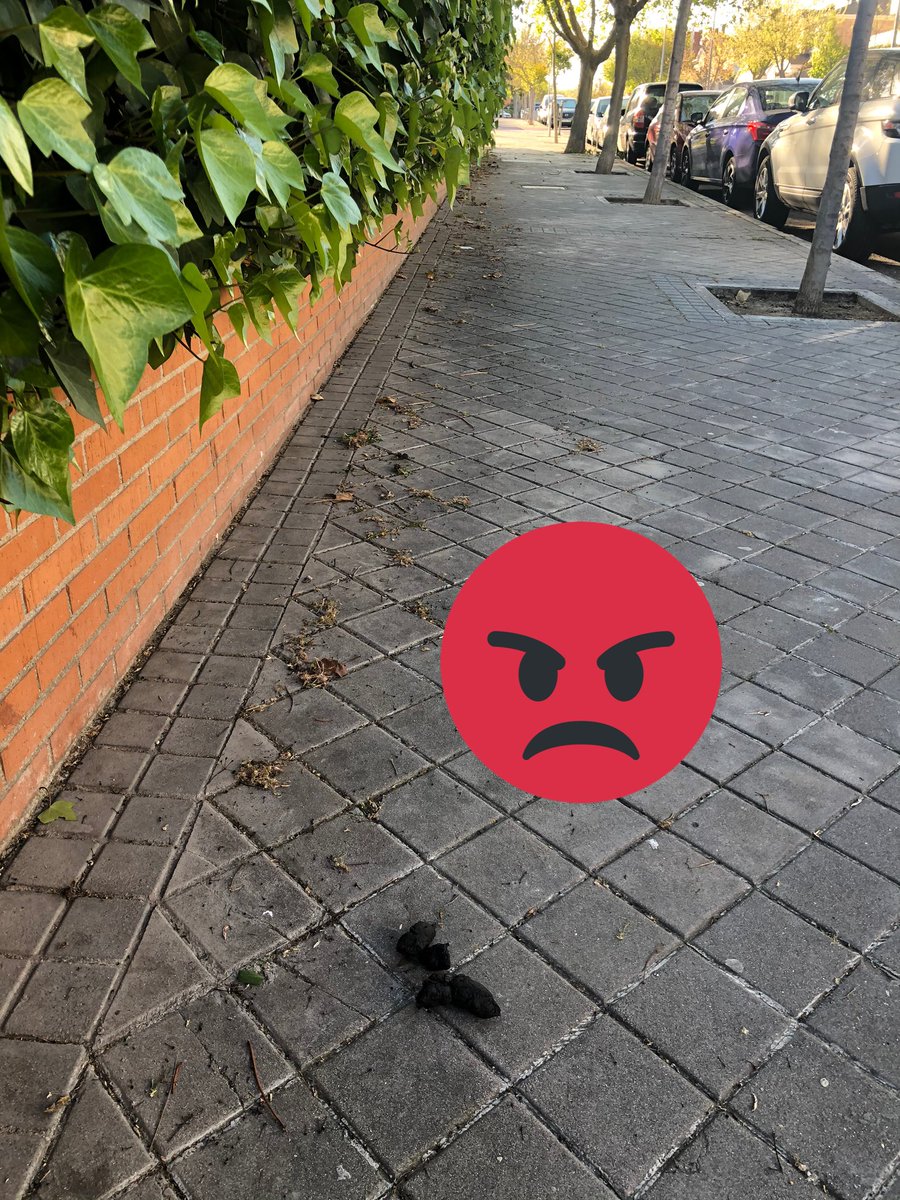 mariangpad's tweet photo. @perezreverte Totalmente de acuerdo, un asco cuando tienes que ir corriendo a la farmacia e ir esquivando las mierdas de los cerdos porque sin duda son los dueños los 🐖 https://t.co/iinNywT7nQ