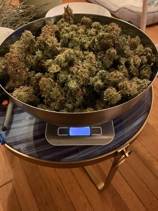 Weed952's tweet photo. Livraisons et envoie 100€ minimum
Snap :weed3433
wickr: weed3433
#restaurantparis #restaurantfrancais #weedparis #parisweed #weed #weedbelgium #aeroport #weedfinland #paris #weedfrance #embarquement #vacances #voyage #depart #boeing #avion #instagram #cafenoir https://t.co/Og6pXoX5nF