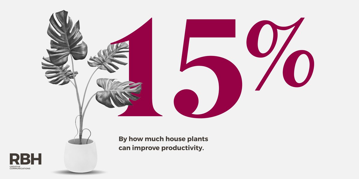 RBH_Agency's tweet photo. You may be stuck at home but that succulent in the corner of the room brings you not only joy but helps you get your work done more quickly too!

#plants #succulents #trends #research #insight #houseplants #statistics https://t.co/pFM2PW6DcQ