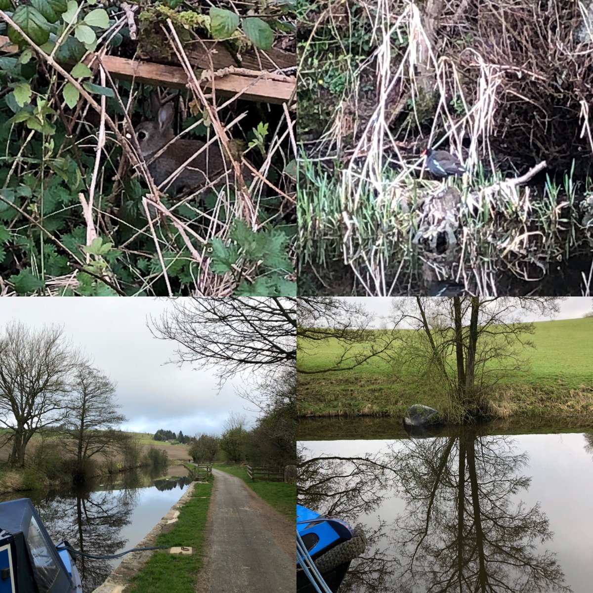 HillWalker70's tweet photo. Early walk this morning #stayfitnotfat #lockdown #leedsliverpoolcanal #lancashirelife https://t.co/NhhsQd2cUA