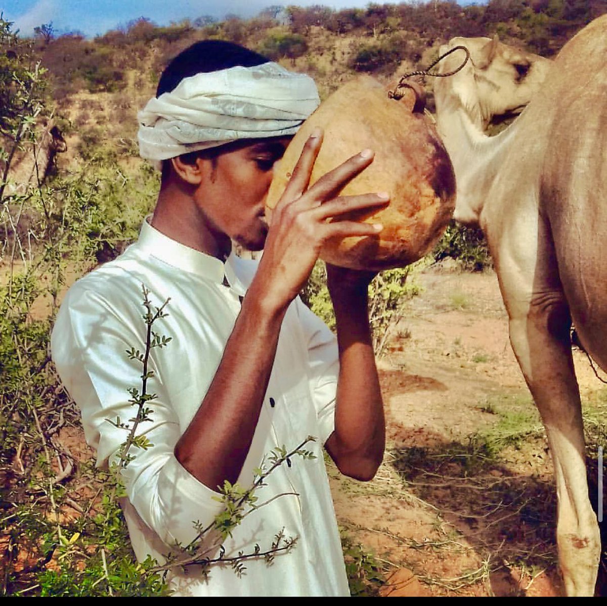 Thaabit01's tweet photo. Magaca guud waa “Koor”.
2 waxa loo kala yaqaanaa, #Aleel waxaa Lagu xiraa nirgaha yaryar ee laga gurinayo hooyadod ama laga baqayo inay dhuman, #Gaadan hasha geela u weeyn baa lagu xiraa xiliga la hoyinayo iyo aroorka baa la kexeya hashaas si geela uso raco😂.geeljira ahan jiray https://t.co/Mn7QjwbRZ5