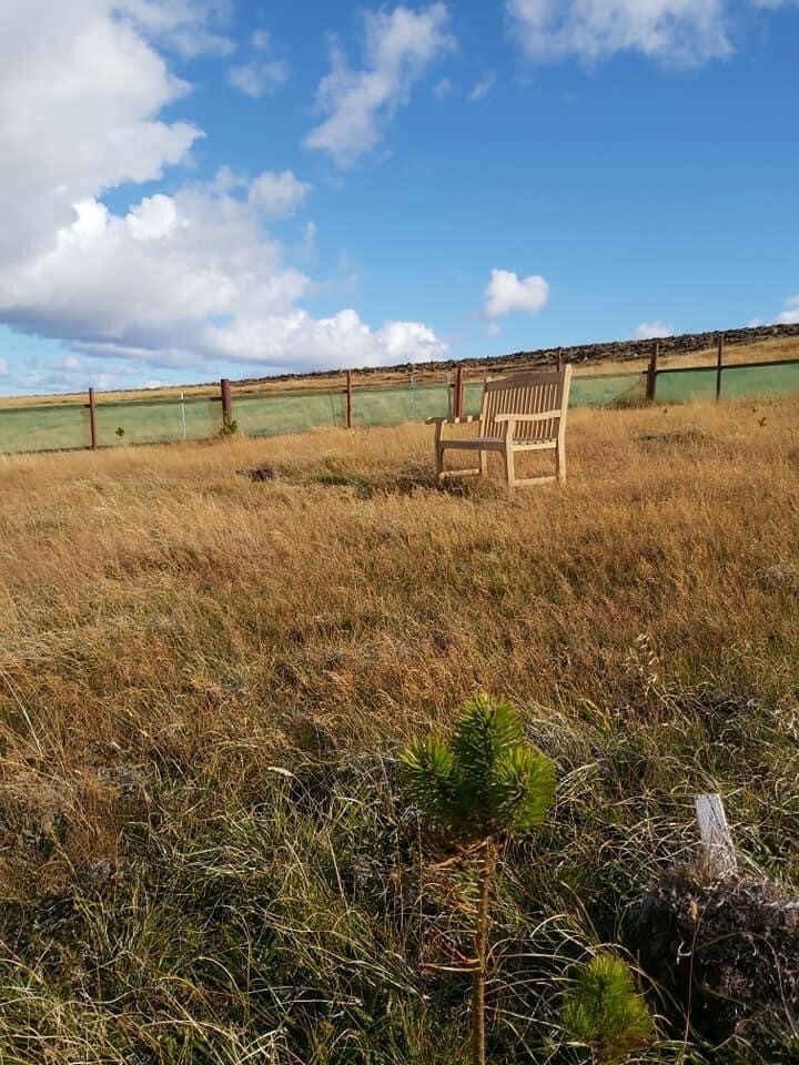 Message from our customer that the #memorialbench shipped last year to #falklands has arrived and is placed on #westfalkland.