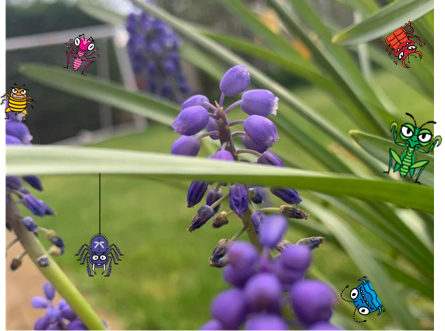 Plytgame's tweet photo. If you've got any outside space why not go on a Bug hunt today? Plenty of learning to be done - identifying them, counting them, drawing them - loads of fun! 
Then a quick game of NumBugz? 🕷️ #PLYT #NumBugz https://t.co/ZnEDRbqrCh #mathsfun #learningfromhome #homeschool #maths https://t.co/iBcvZNYHUo