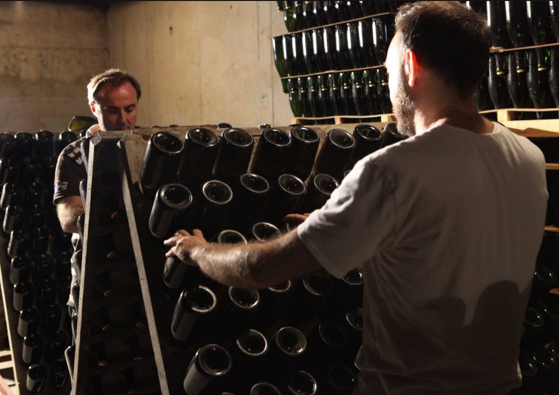 Pimecava tweet media