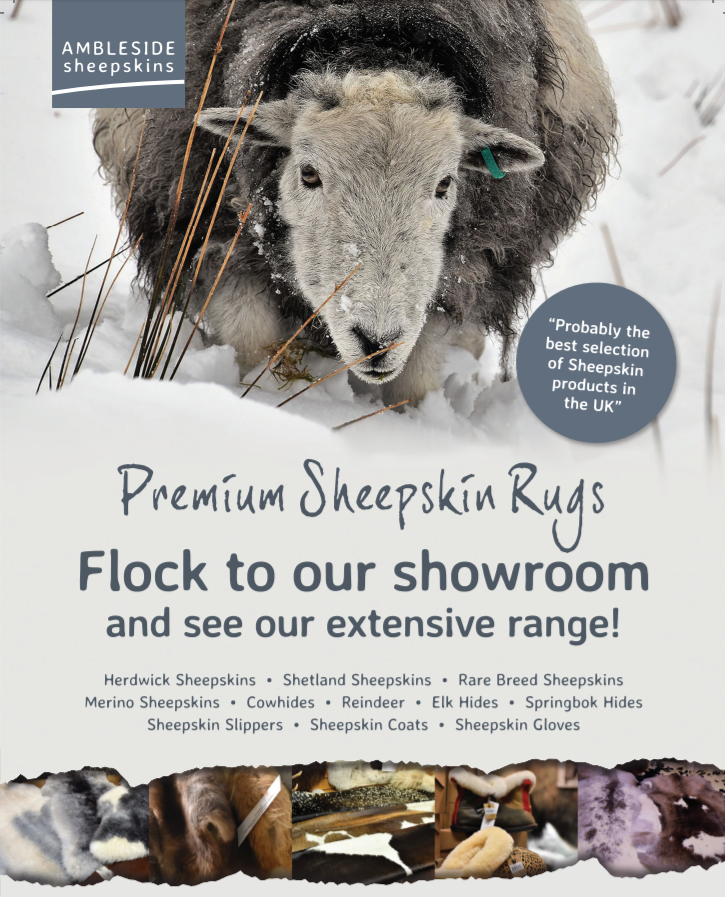 Ambleside_Sheep's tweet photo. *Due to the Coronavirus we will be operating on limited hours* If you would like to purchase Sheepskin / Cowhide / Reindeer Hides and would like us to send you some up to date stock photos; Please email rick.sheepskin@btinternet.com https://t.co/WHPTyeAHjA