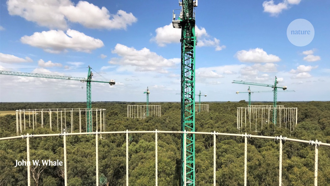 Read about an amazing experiment that probes how mature forests will respond to increased CO2 levels - explained in this great N&amp;V by Shuli Niu &amp; <a href="/YiqiLuo/">Yiqi Luo</a> <a href="/EcossNau/">EcossNAU</a> go.nature.com/39Tz2SD