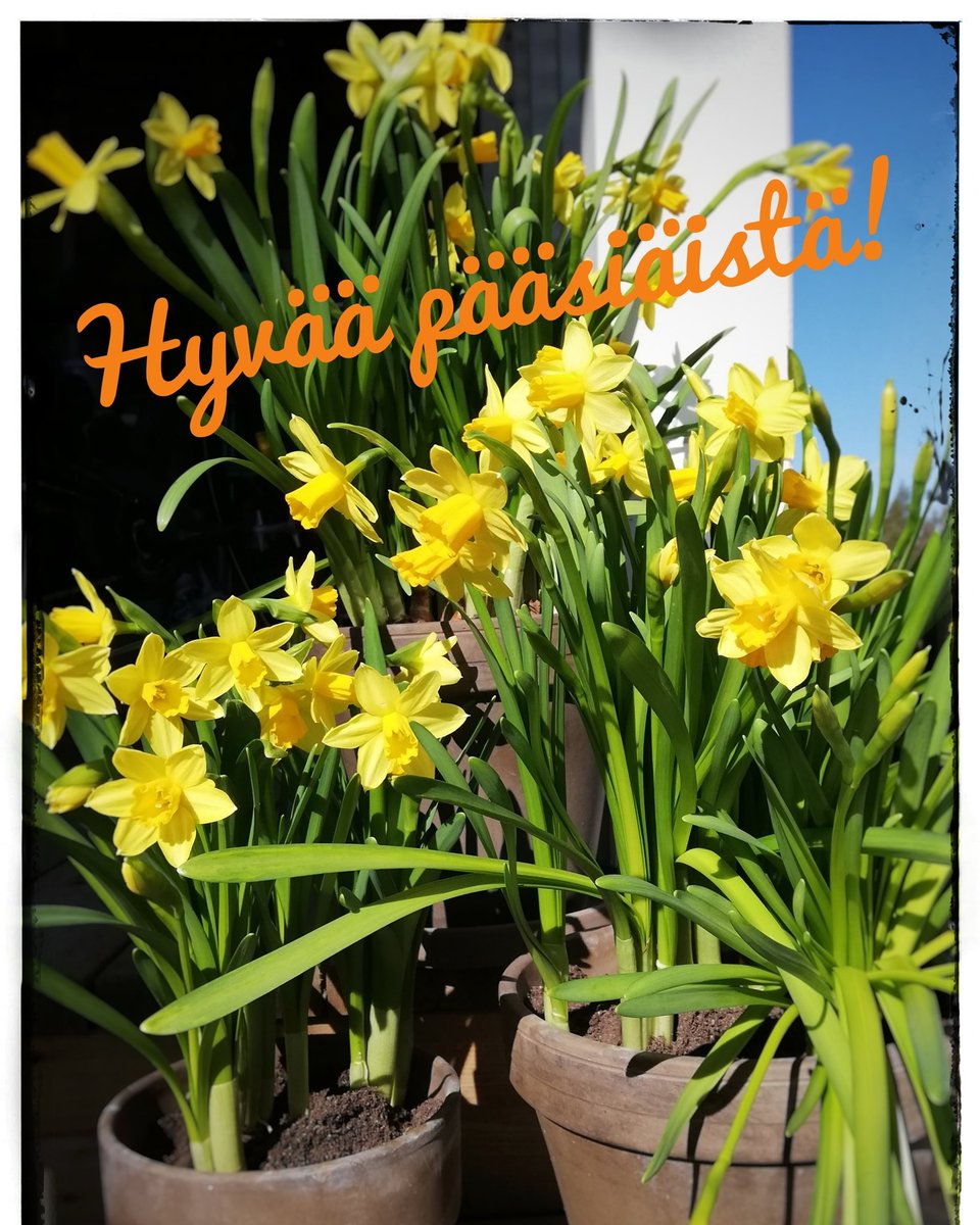 OLKA-toiminta toivottaa kaikille hyvää pääsiäistä!

#olkatoiminta #pääsiäinen