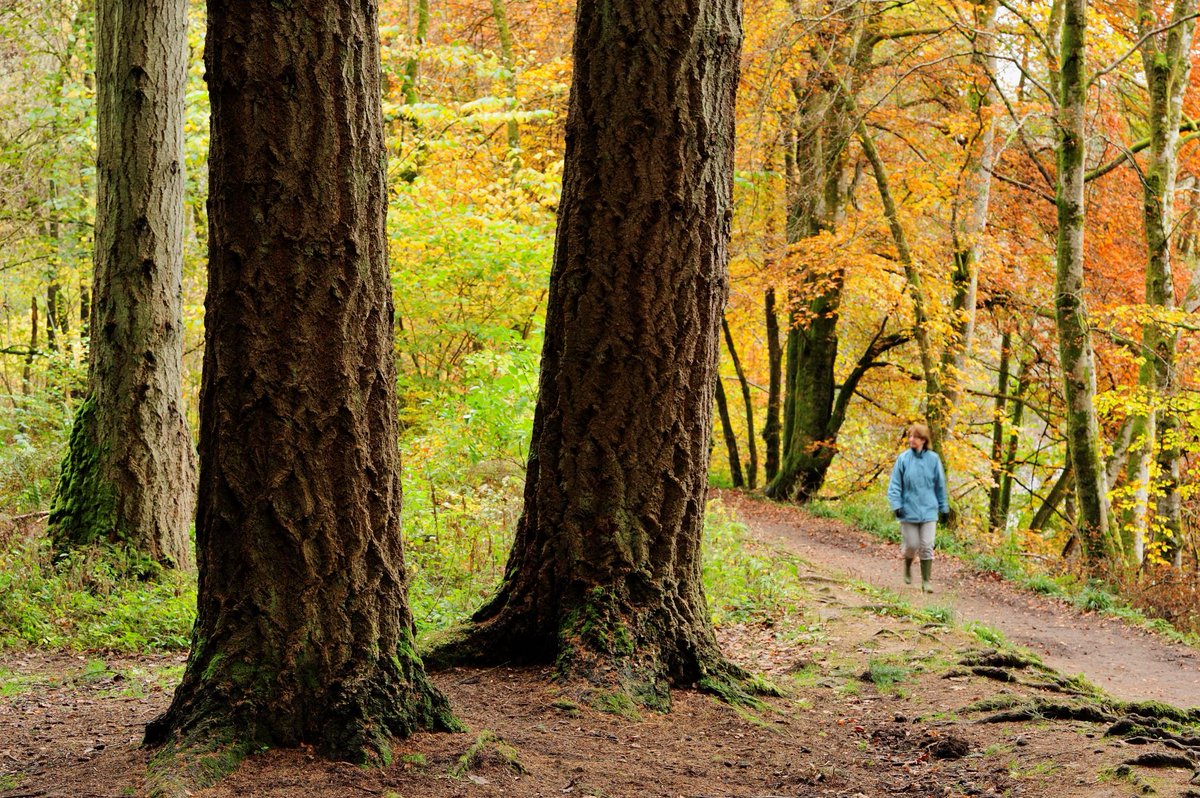 The  @scotgov has released new guidance on responsible access under the Scottish Outdoor Access Code during the COVID-19 emergency. Exercise is v important for wellbeing currently but we need to adapt our behaviour in the national effort. Read more:  https://ow.ly/KyyQ50z9G...