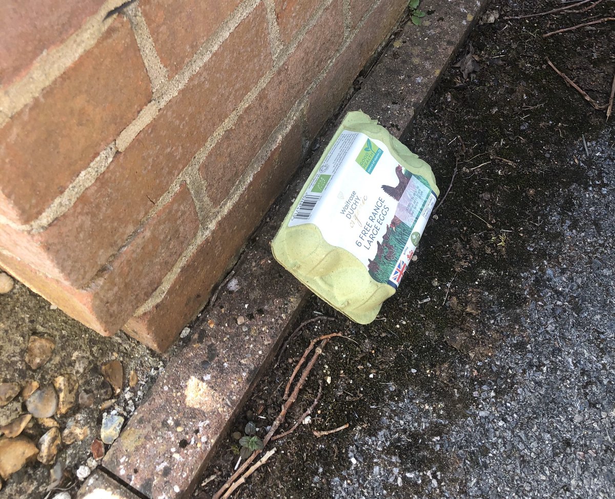 LucyAEvans's tweet photo. I have the best friends - eggs, organic no less, waiting for me on my return from a sunny run - thank you @mtcornish  #eggsrule https://t.co/muBtJDbr3y