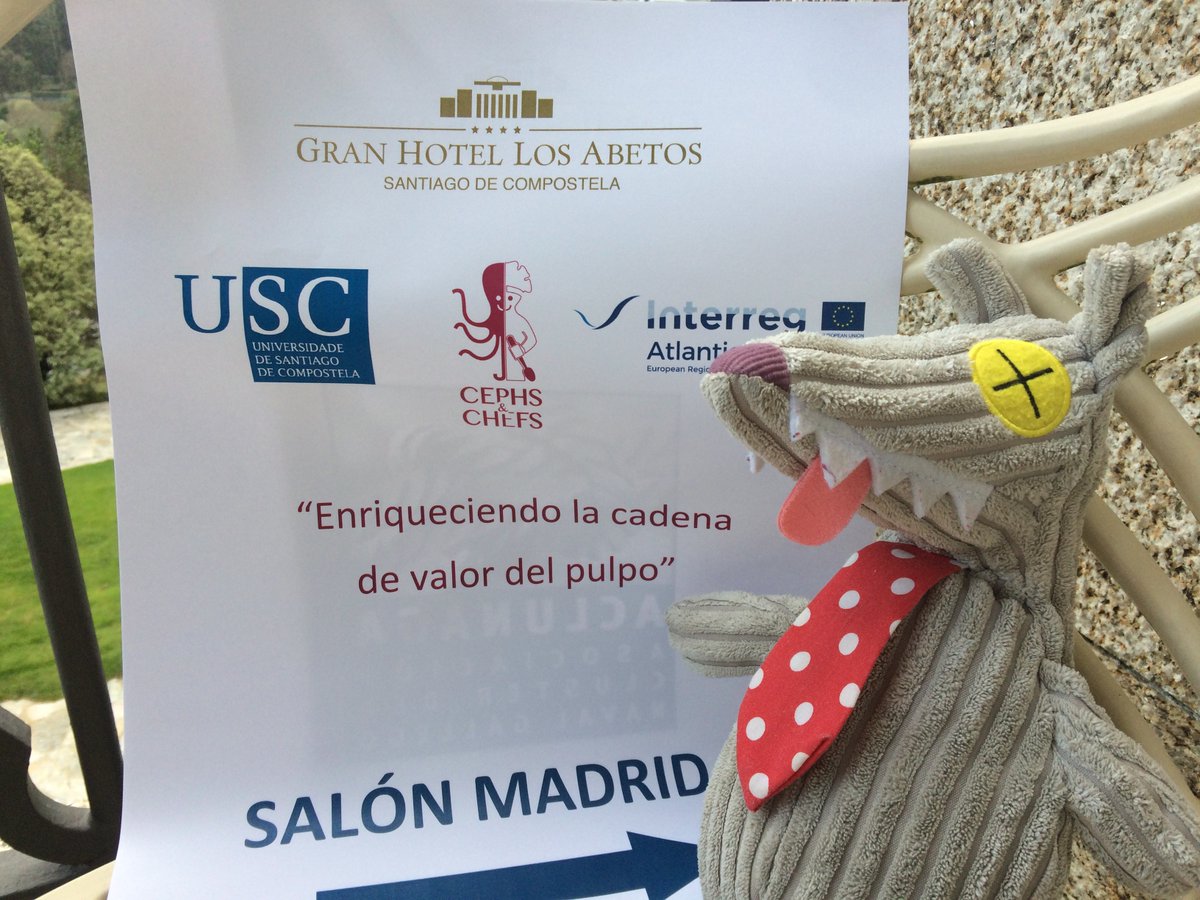 Sakana_Consult's tweet photo. Feels like an eternity, but just few weeks ago, #ZeBoss @FishEconomist participated in a very interesting workshop about the octopus supply chain in Galicia organised by the @CephsAndChefs team (@SebVillasante& co) and facilitated by @Altekio in Santiago de Compostella https://t.co/hMqpZAPKTJ