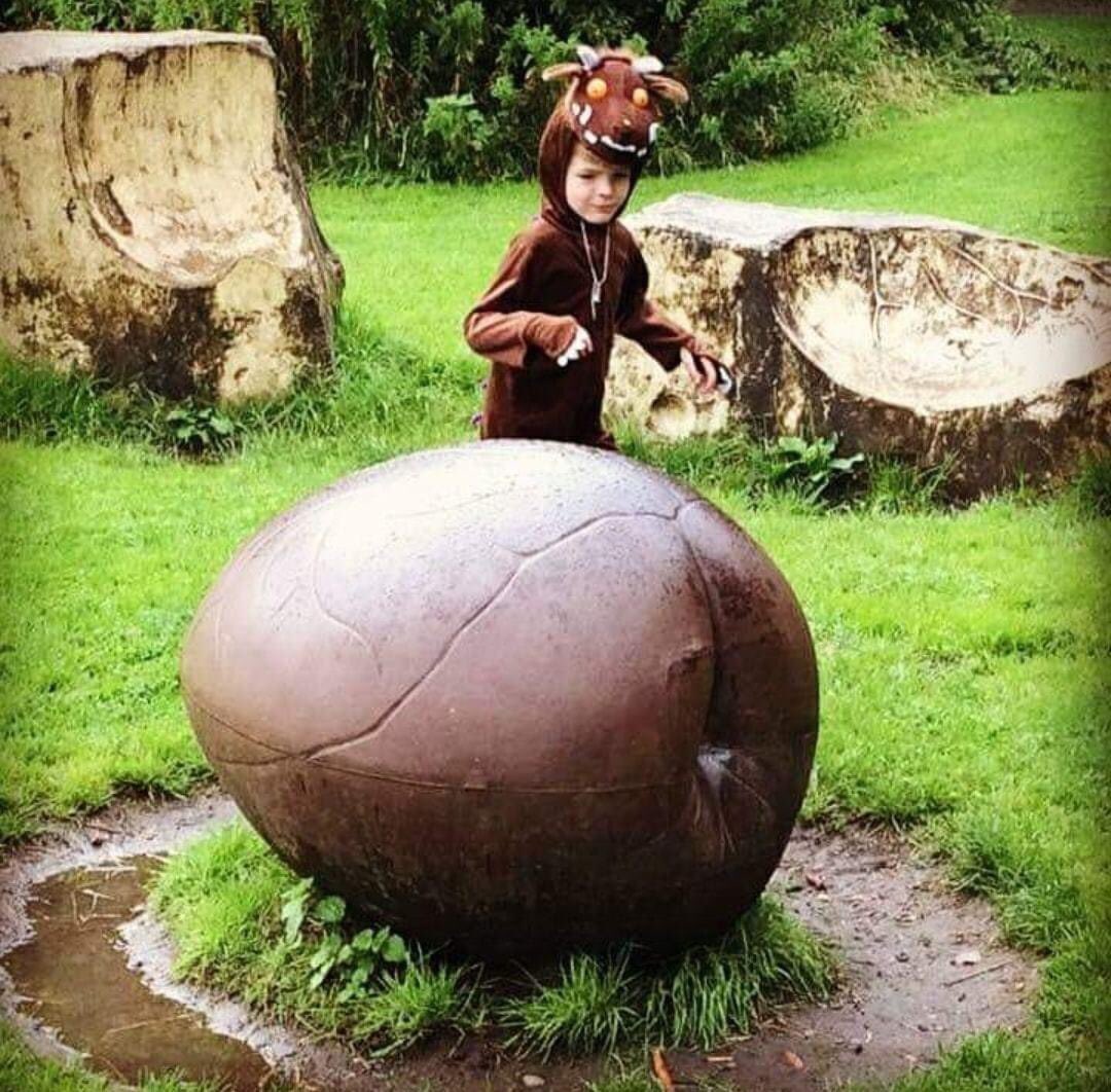 Brierley Forest parkrun tweet media