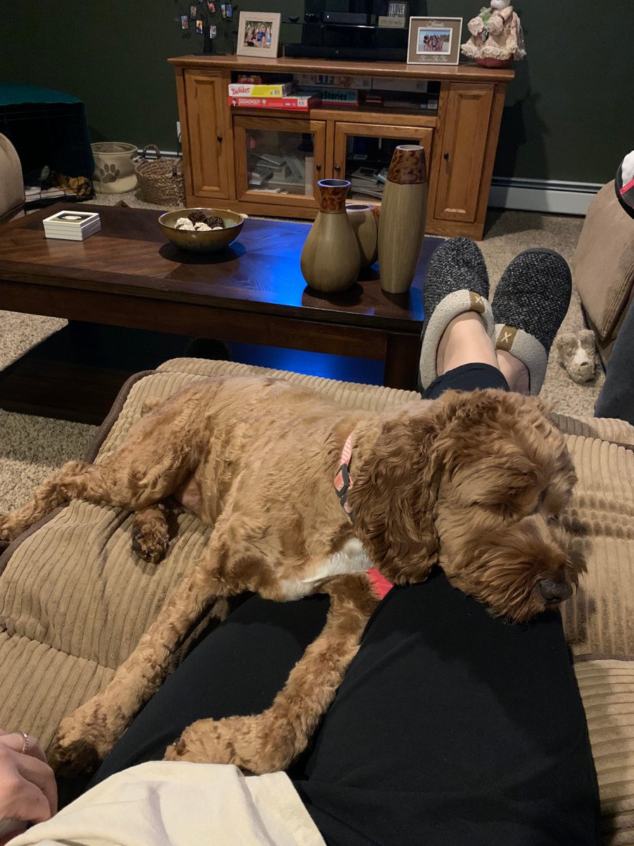 Suffern Central (@sufferncsd) on Twitter photo "I feel the most essential thing to do during a time like this is to generate a new norm, & develop a new daily schedule." <a href="/DCastaldo25/">Danielle Castaldo</a>, <a href="/SuffernMS/">SuffernMiddleSchool</a> Asst Principal Thank you for always being a source of inspiration for our students and families! #APWeek20 #mountiepride <a href="/NYSEDNews/">NYS Education Department</a> "I feel the most essential thing to do during a time like this is to generate a new norm, & develop a new daily schedule." <a href="/DCastaldo25/">Danielle Castaldo</a>, <a href="/SuffernMS/">SuffernMiddleSchool</a> Asst Principal Thank you for always being a source of inspiration for our students and families! #APWeek20 #mountiepride <a href="/NYSEDNews/">NYS Education Department</a>