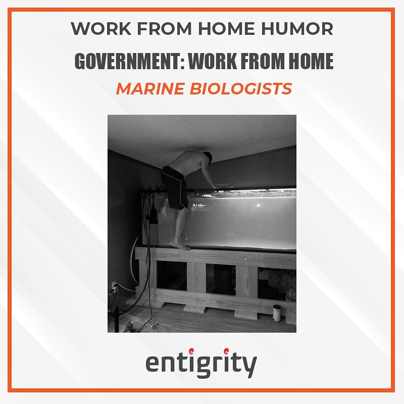 CpaGoossen's tweet image. #Workfromhome #Humor #CoronaVirus #pandemic #RemoteWorking #OffshoreStaff #Entigrity2020