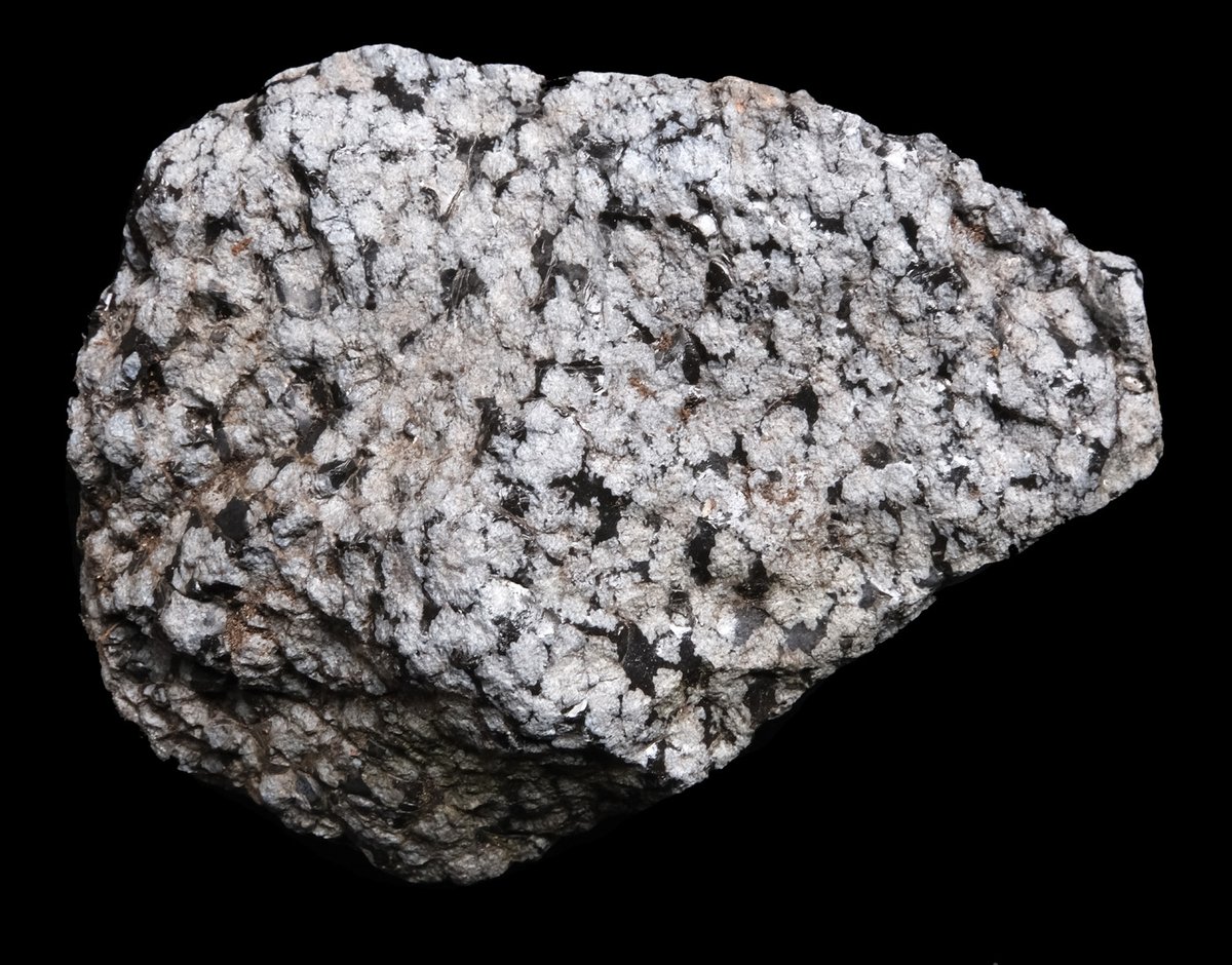 scotfot's tweet photo. snowflake obsidian, dark volcanic glass with white cristobalite inclusions #rocksathome https://t.co/IR9TPpqyom