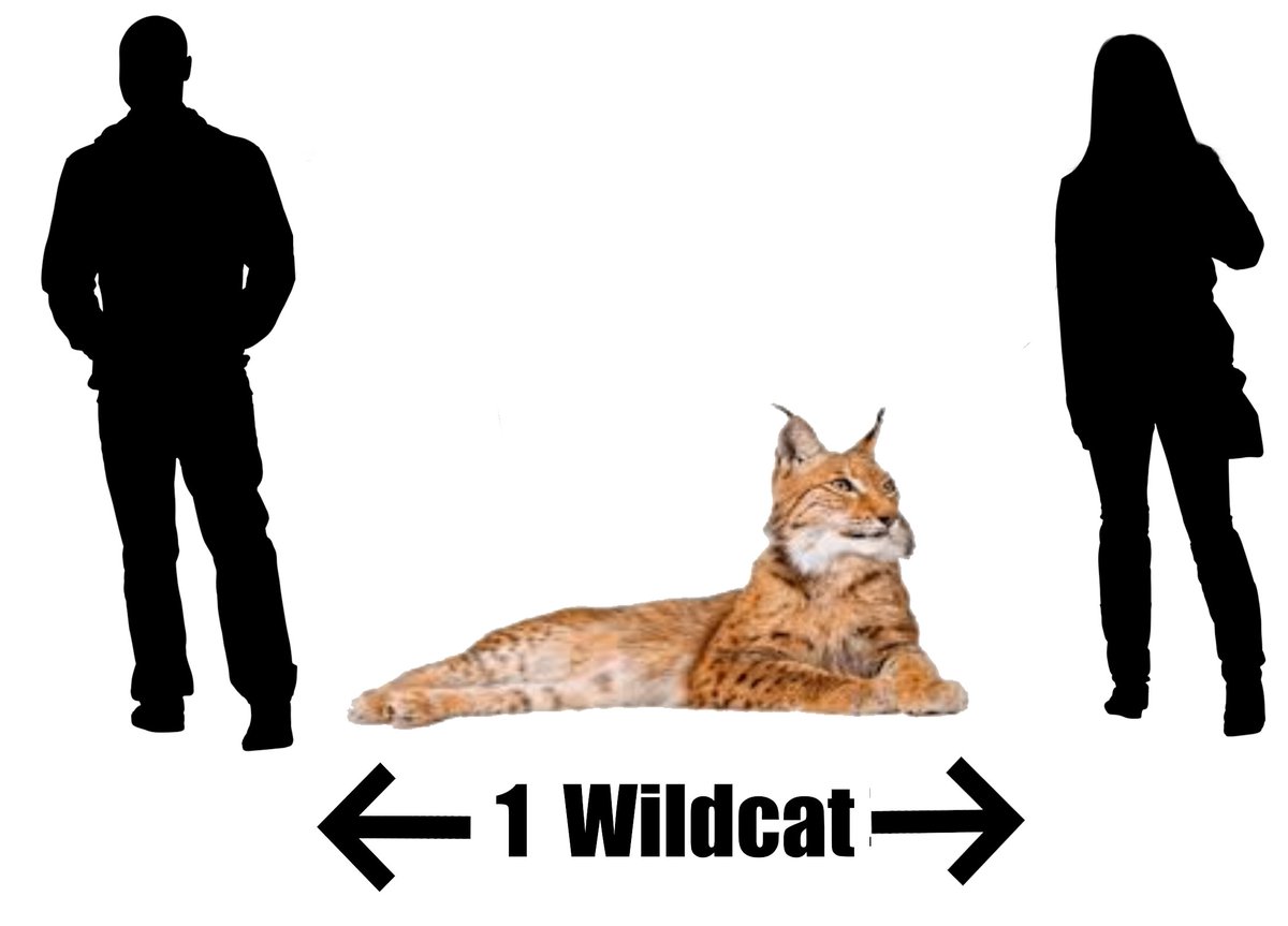 Smitty says: Keep up the #SocialDistancing 

Stay one Wildcat away from other people!