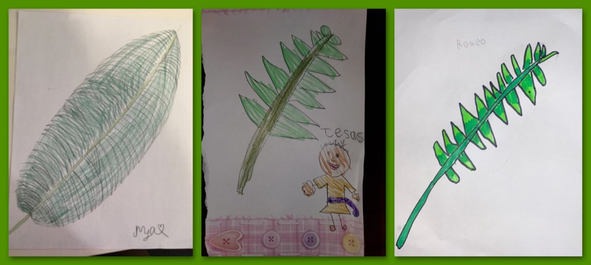 StJudesING's tweet photo. Mrs. Thompson's Grade 2/3 #continuationoflearning includes #FaithFormation. The students shared their beautiful #PalmSunday artwork on the Virtual Learning Environment. Way to go. @LDCSB @LDCSBReligion @KellyHolbrough https://t.co/4Fz8iBGuTd